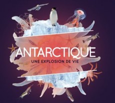 Museum-histoire-naturelle-antarctique