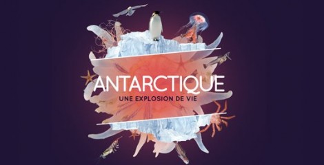 Museum-histoire-naturelle-antarctique