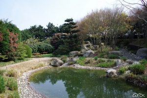jardin-japonais-le-havre-bruno